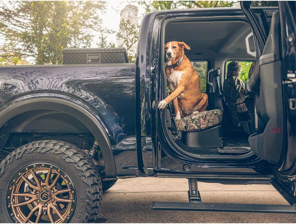 AMP Research PowerStep on ford raptor with dog in backseat 