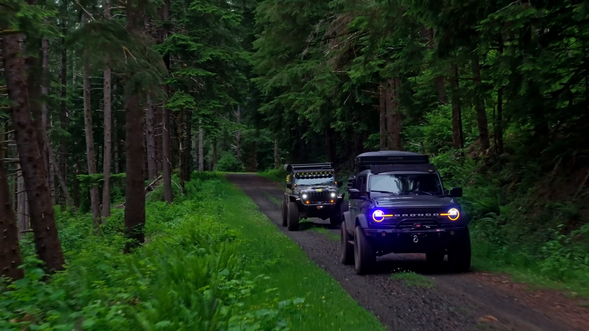 Two off-road vehicles driving on a dirt path surrounded by dense forest, including a Bronco with prominent front lights, situated in a wooded area with lush greenery.